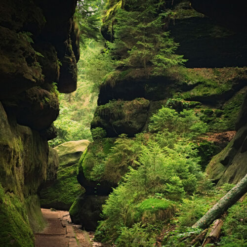 Felsenlabyrinth in Langenhennersdorf