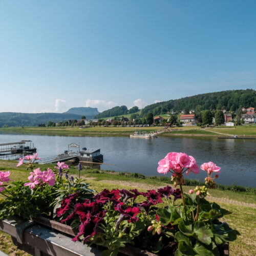 Rathen idyllische Lage an der Elbe,AdobeStock