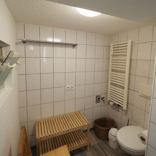 Felsen - Bad mit Dusche und WC