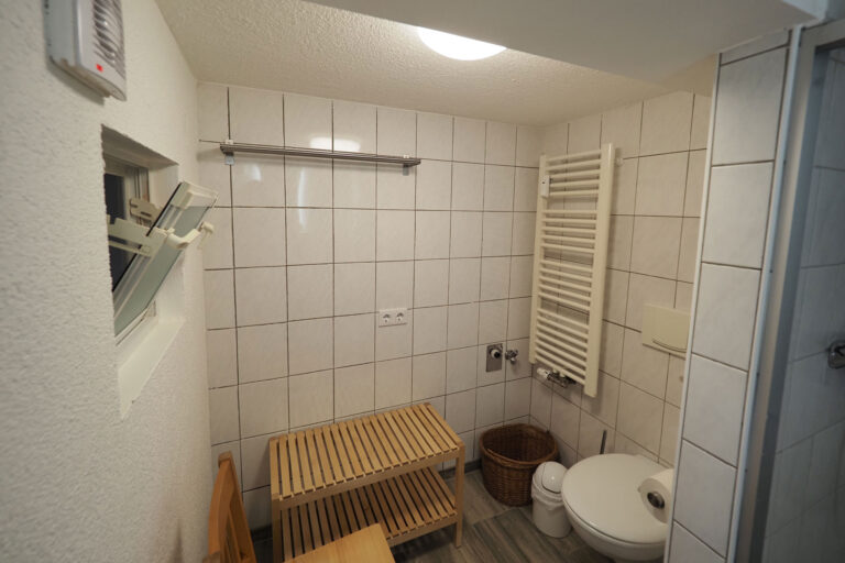 Felsen - Bad mit Dusche und WC