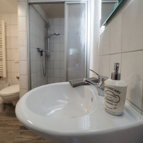 Felsen - Bad mit Dusche und WC