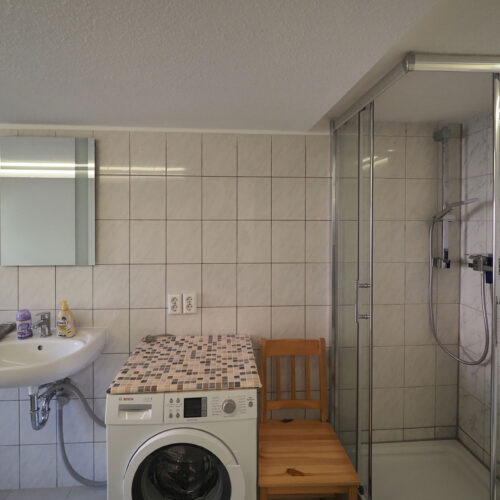 Tal - Bad mit Dusche/WC und Waschmaschine (EG)