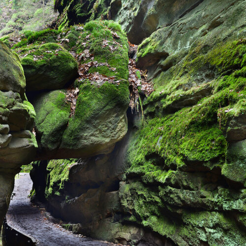 Felsentor im Uttewalder Grund, AdobeStock