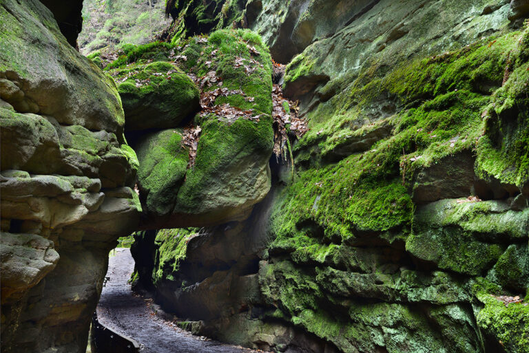 Felsentor im Uttewalder Grund, AdobeStock